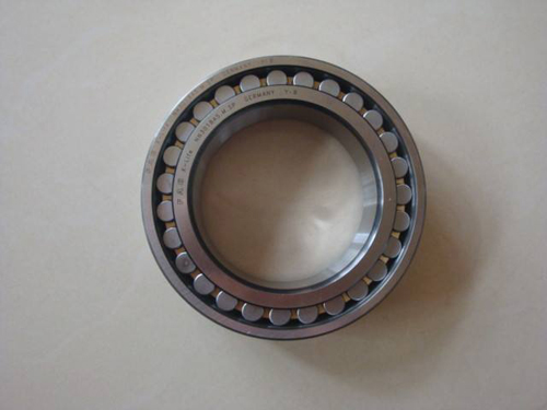 Easy-maintainable polyamide cage bearing 6305/C4